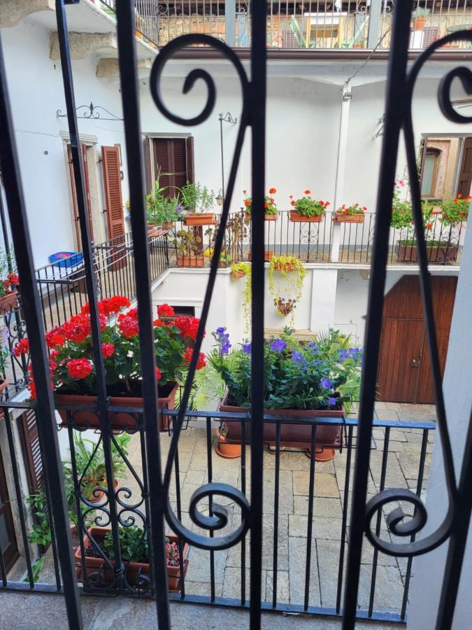 Bolzano Novarese Casa Onorina, Relax E Tranquillita Sul Lago D'Orta מראה חיצוני תמונה